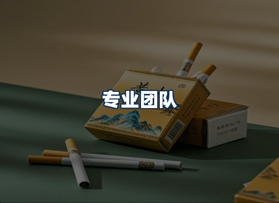 专业团队